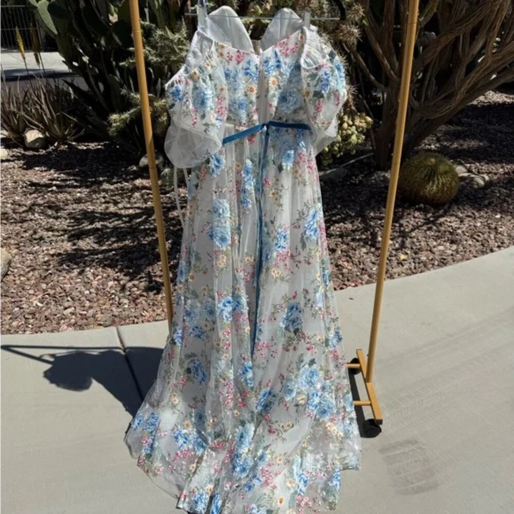 Teuta Matoshi- Cerulean Wildflower Floral Puff Sleeve Dress with Blue Accents - Picture 8 of 8